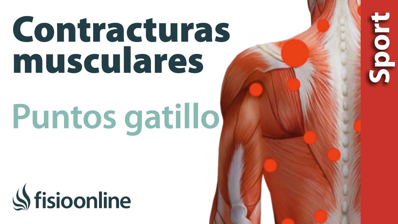 que musculo hay debajo del omoplato