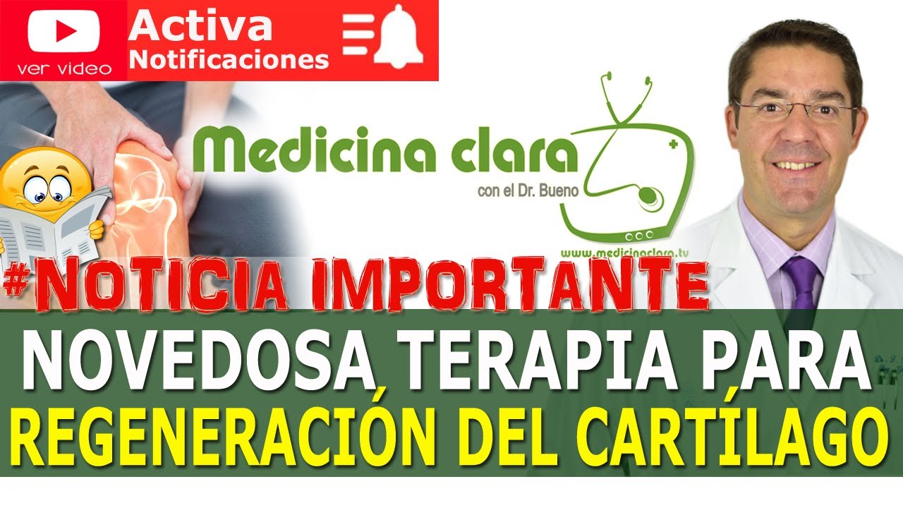 que tomar para regenerar los cartilagos