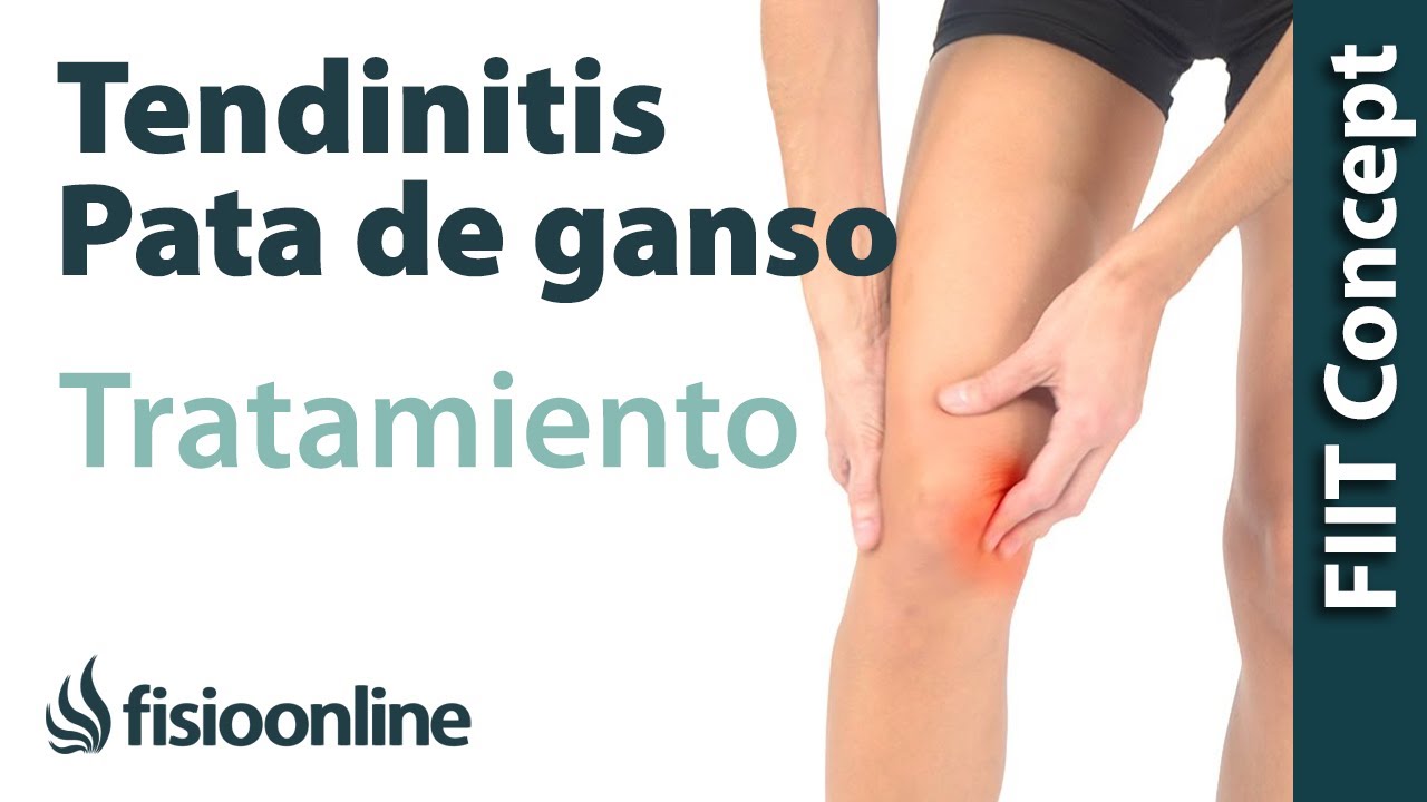 tiempo de curacion tendinitis pata de ganso