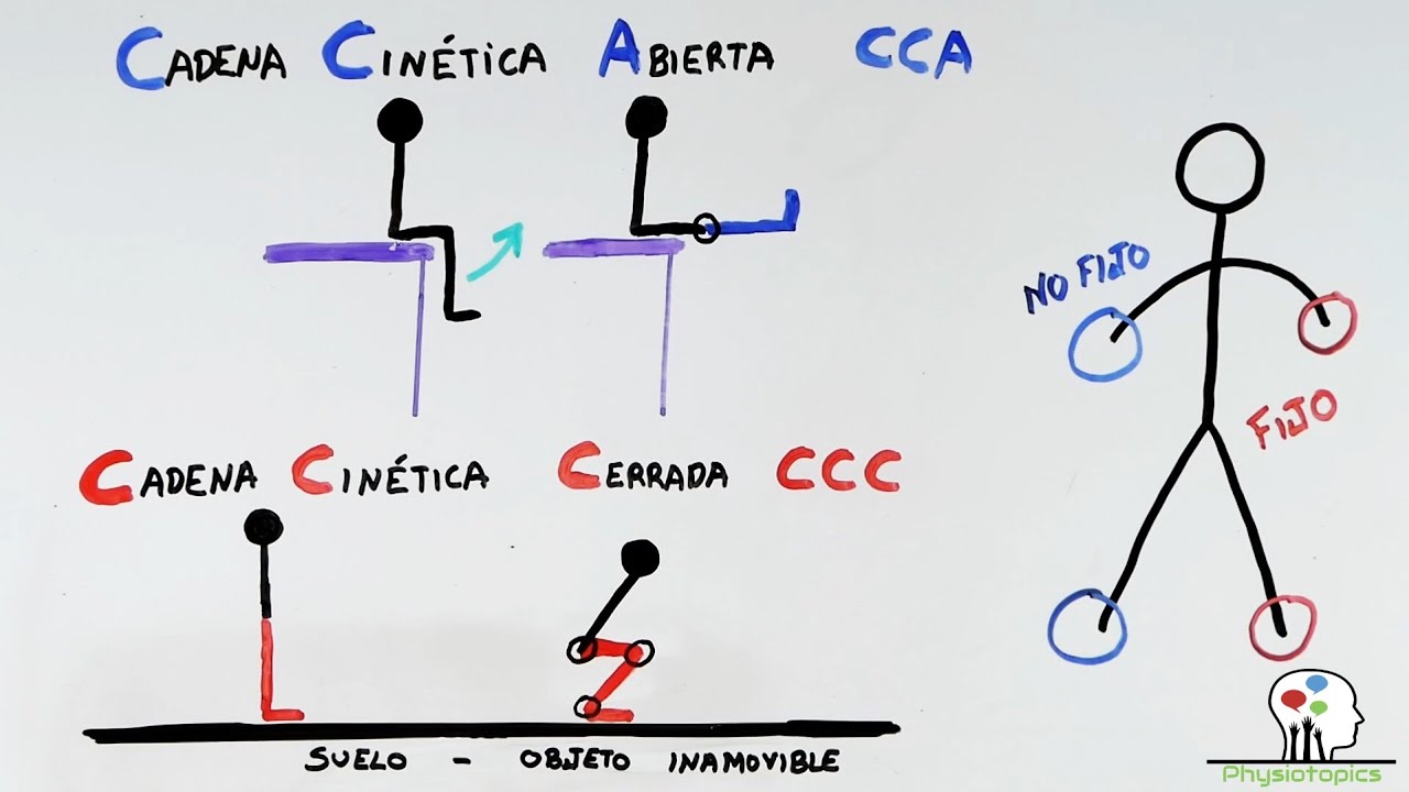 tipos de cadenas abiertas y cerradas