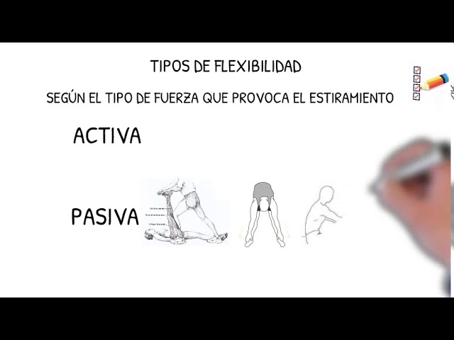 tipos de flexibilidad en educacion fisica