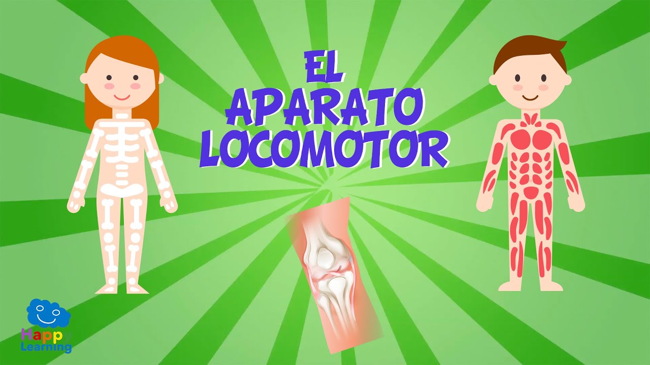 tipos de lesiones en el aparato locomotor