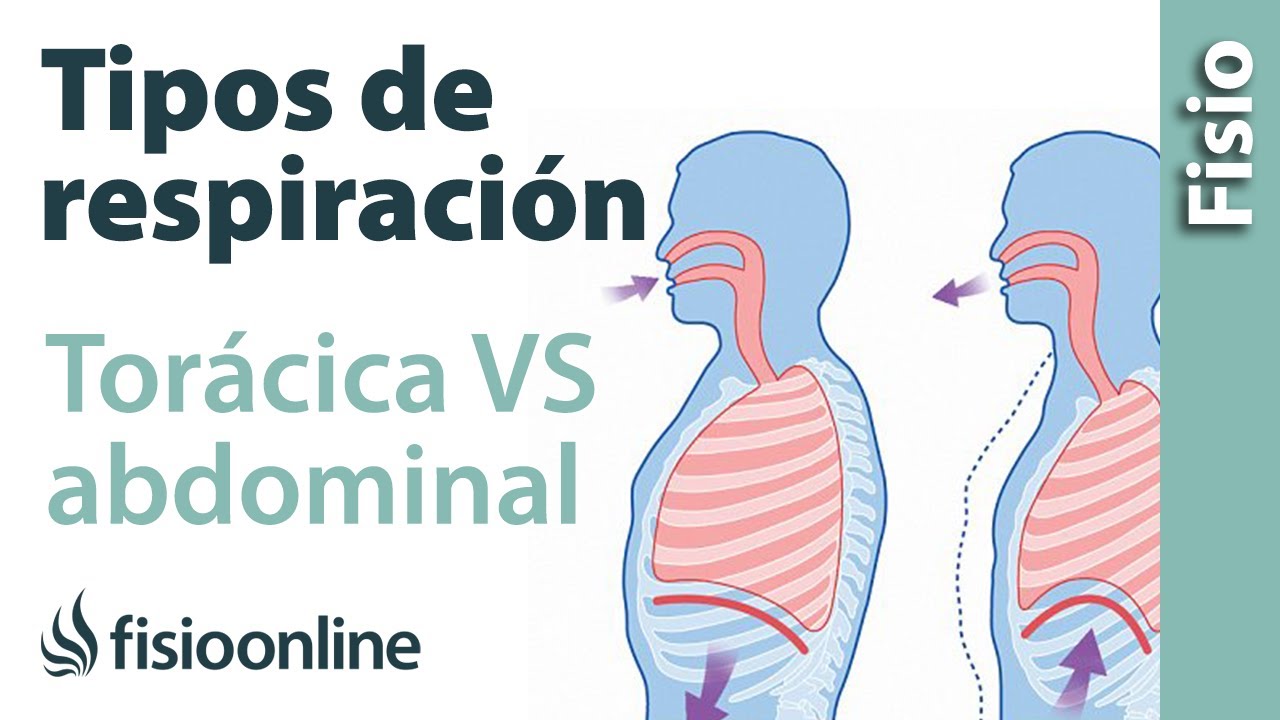 tipos de respiracion abdominal y toracica
