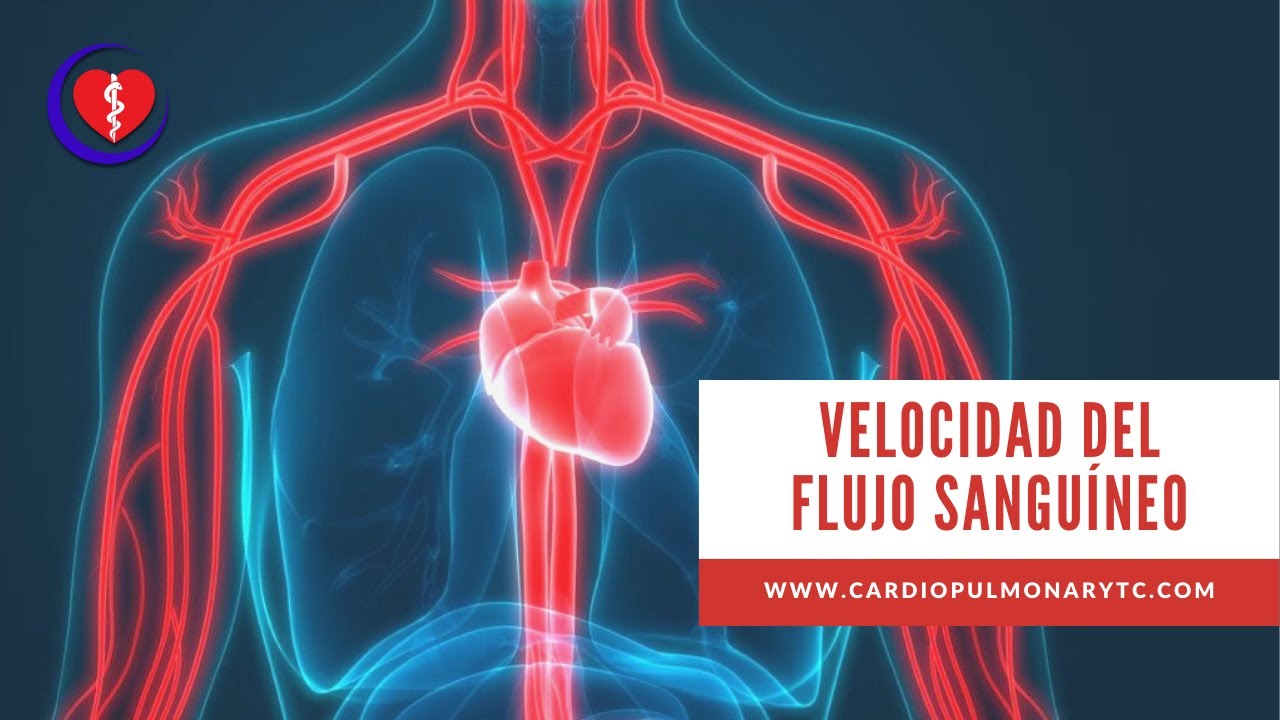 velocidad de la sangre en las arterias