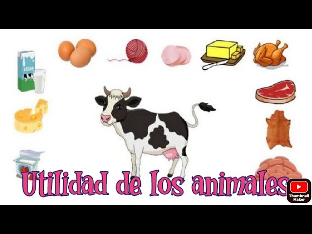 animales que dan leche para consumo humano