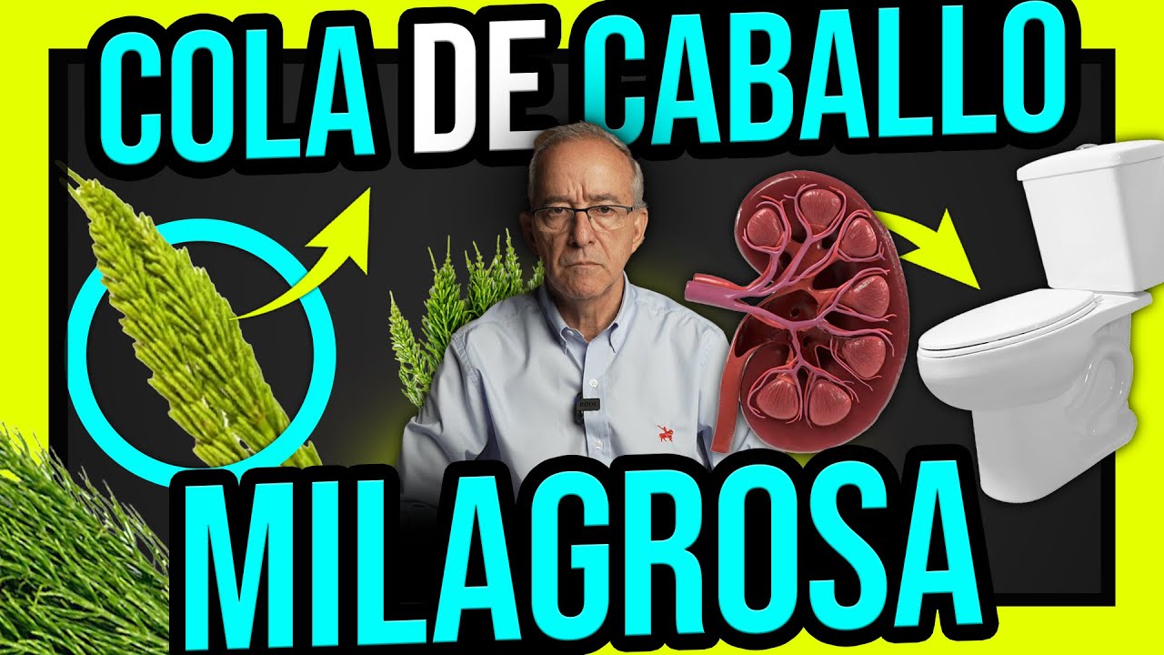 cola de caballo para la incontinencia urinaria