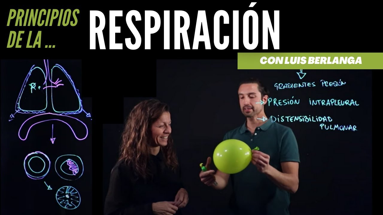 como se calcula la ventilacion pulmonar