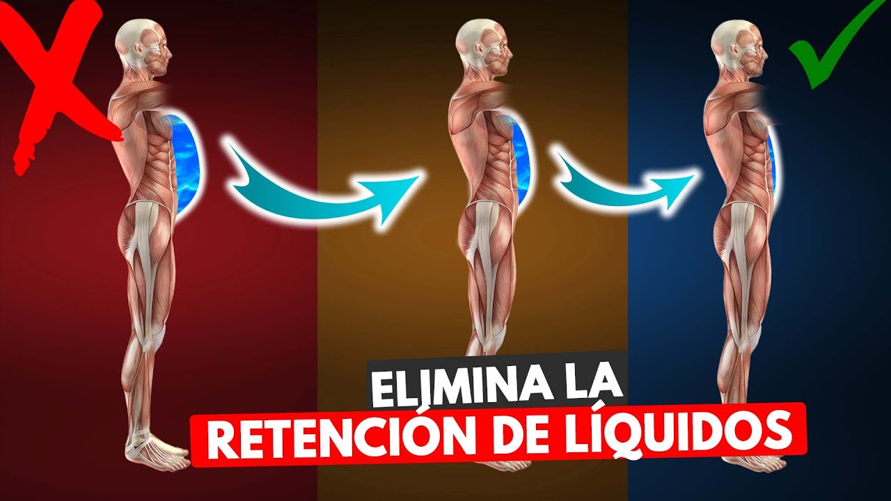 cómo se elimina el exceso de liquido intersticial
