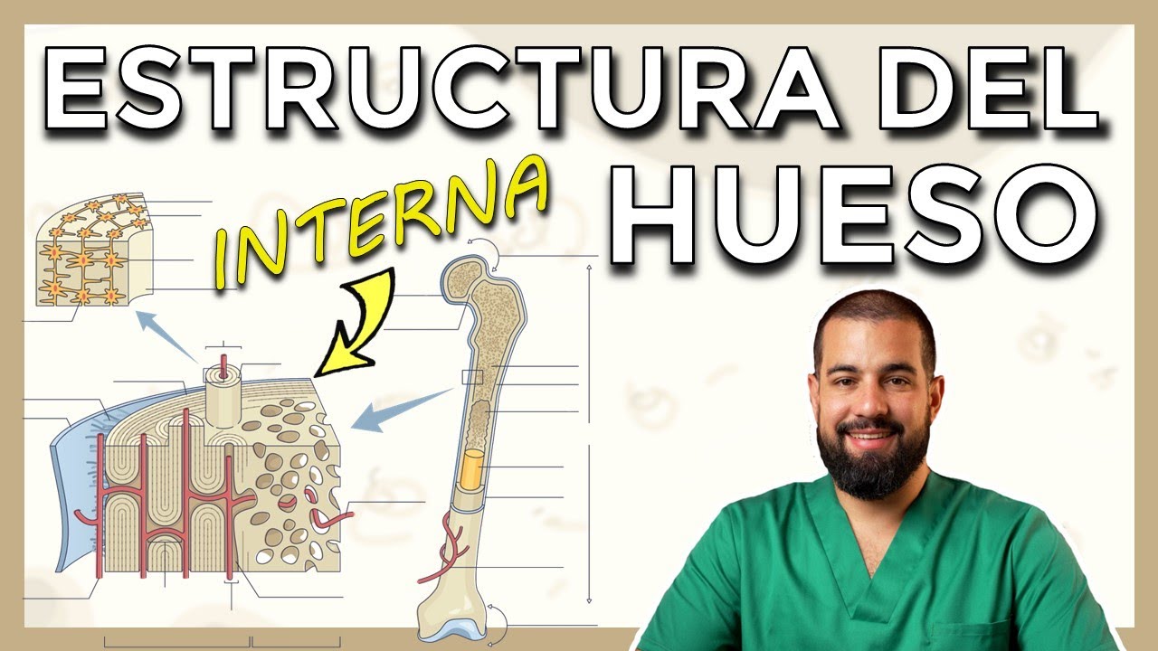 como se llama la membrana que recubre los huesos