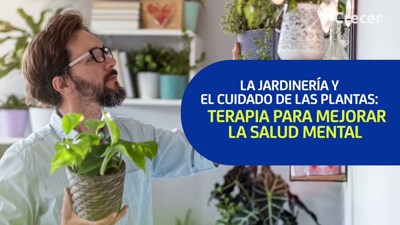 como se llama la terapia con plantas