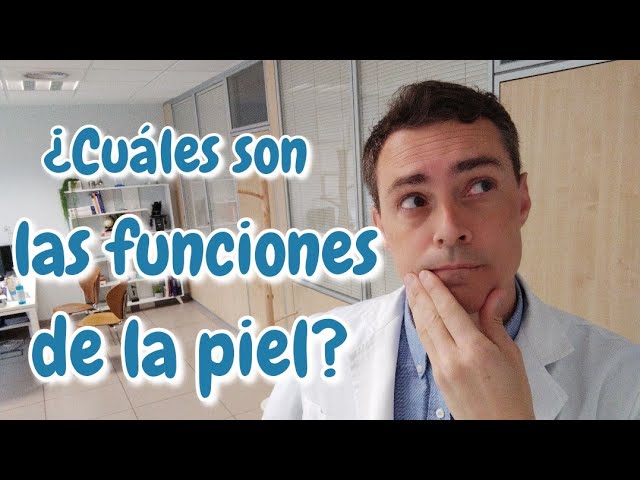cuales son las funciones que cumple la piel