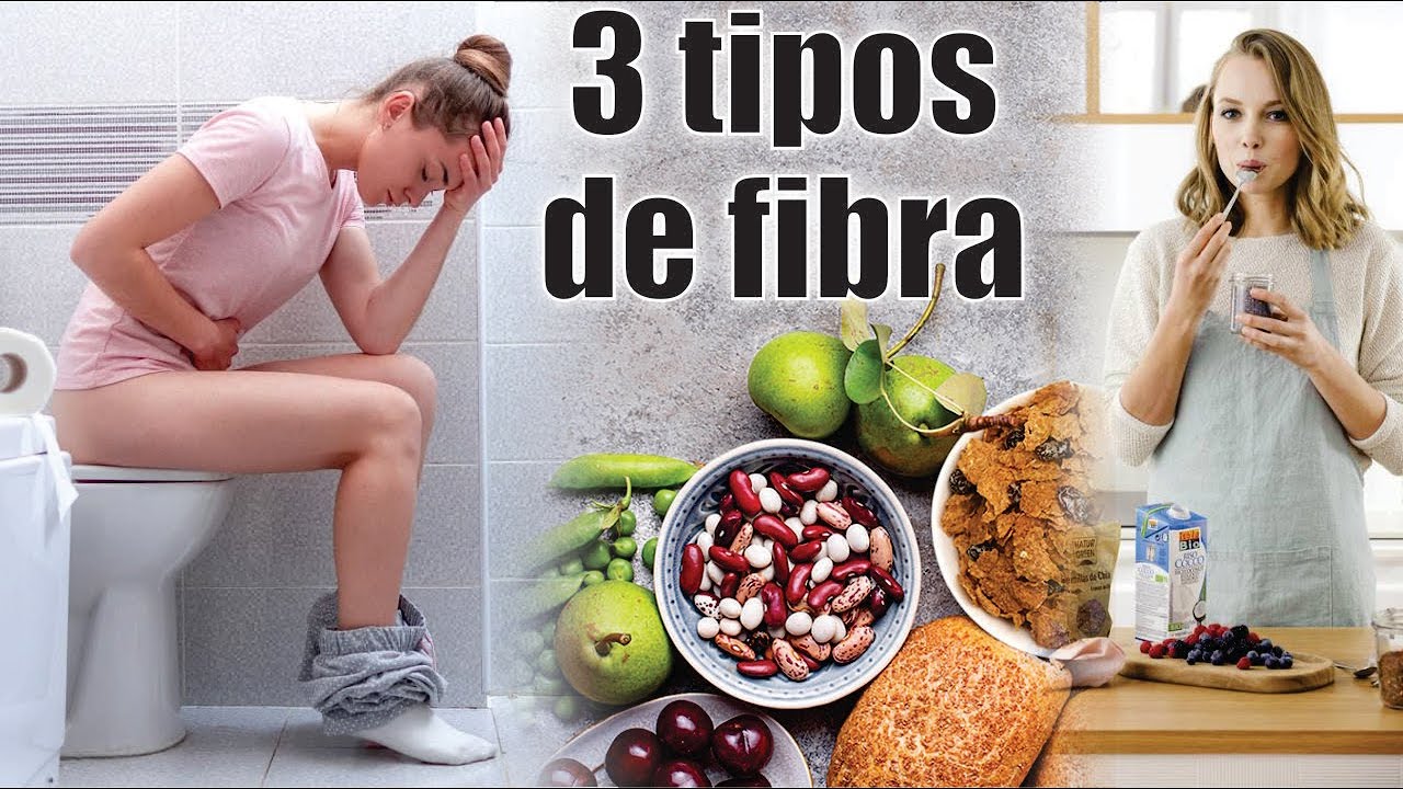 cuales son los tipos de fibras