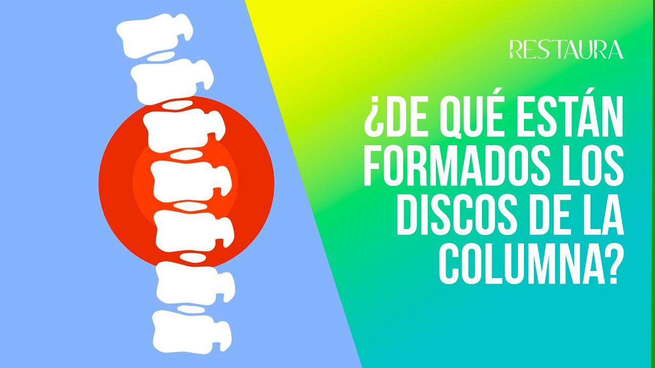 de que estan hechos los discos intervertebrales