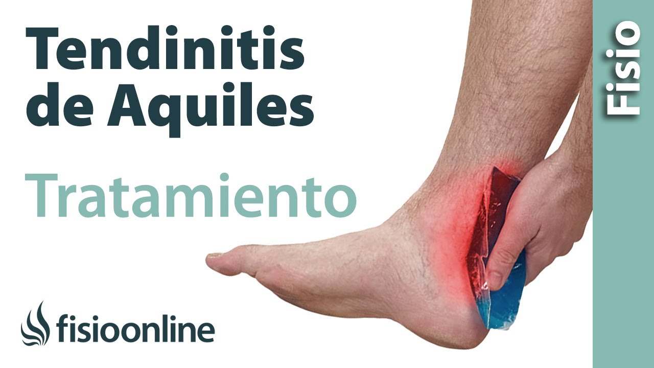 el tendon de aquiles permite la insercion de los musculos