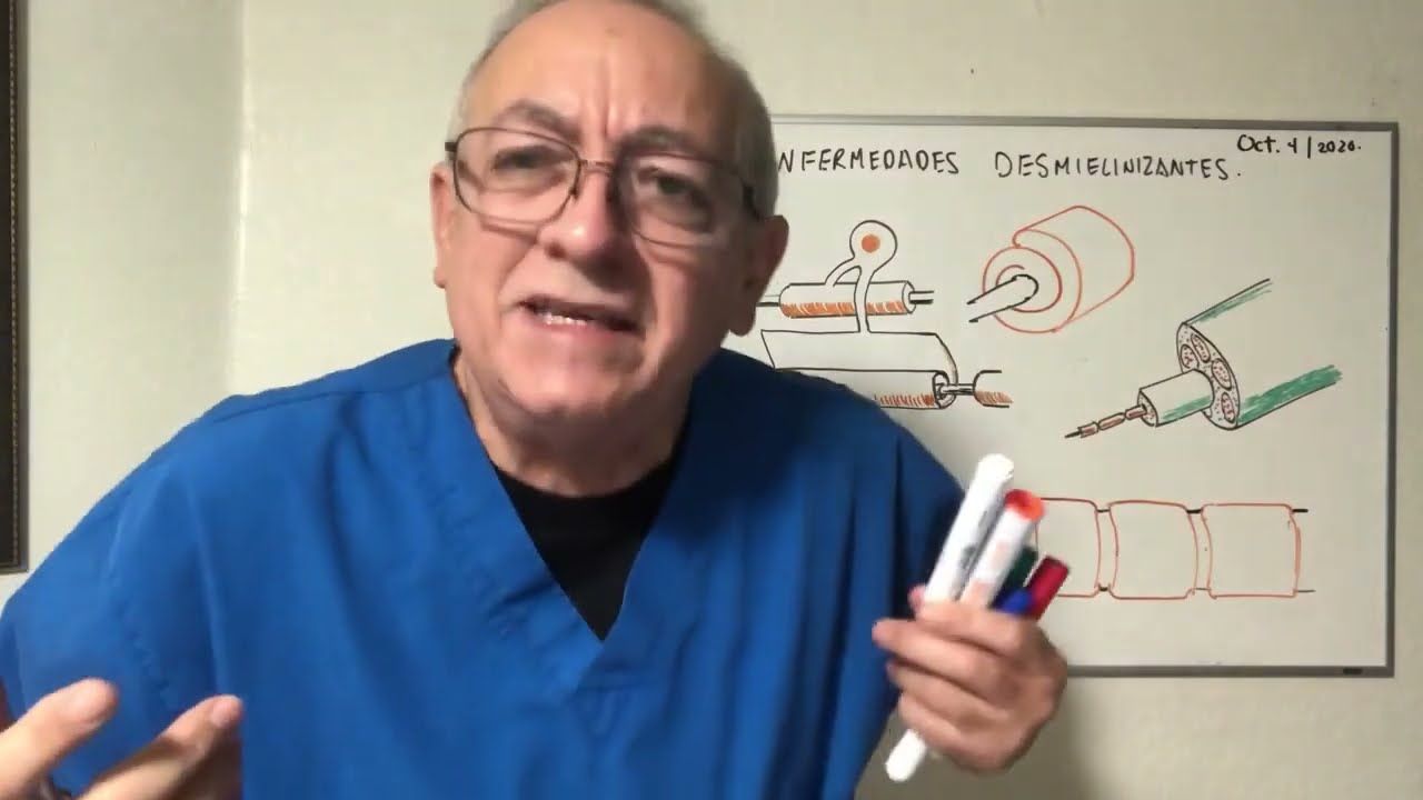 funcion de los nodulos de ranvier en la neurona