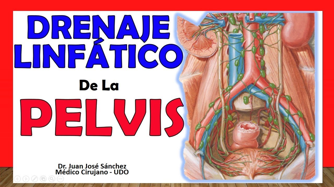ganglios linfaticos de la pelvis femenina