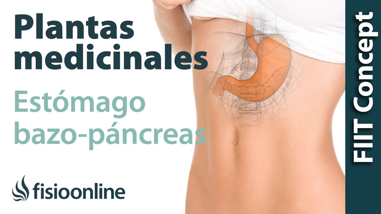 hierbas medicinales para el higado y pancreas