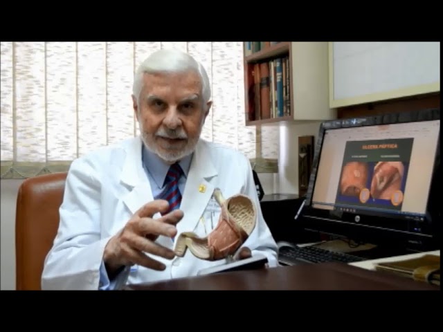 hierbas para bacterias en el estomago
