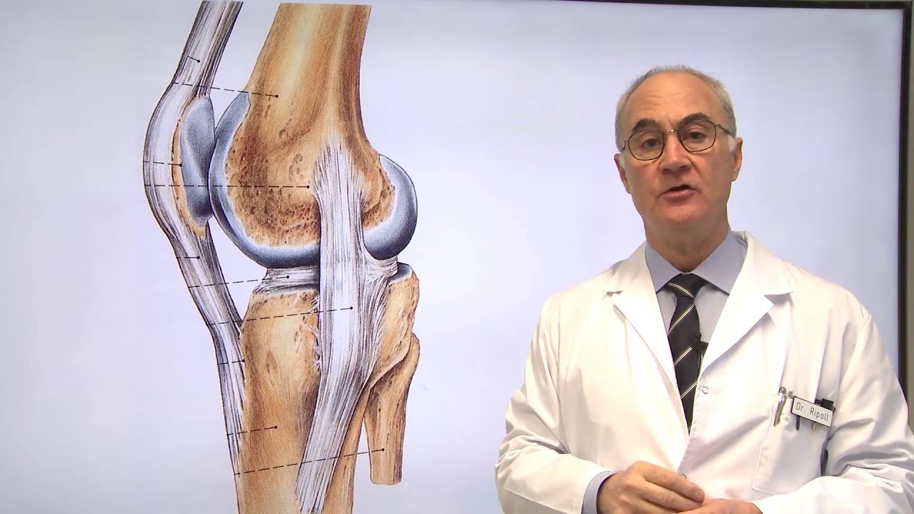 ligamento colateral tibial de la rodilla