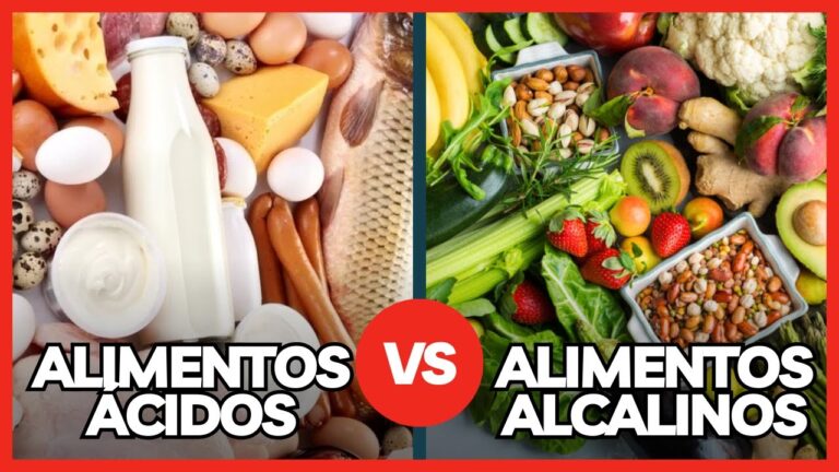 Dieta Balanceada De Acidos Y Bases