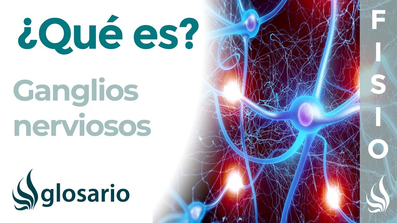 para que sirven los ganglios nerviosos