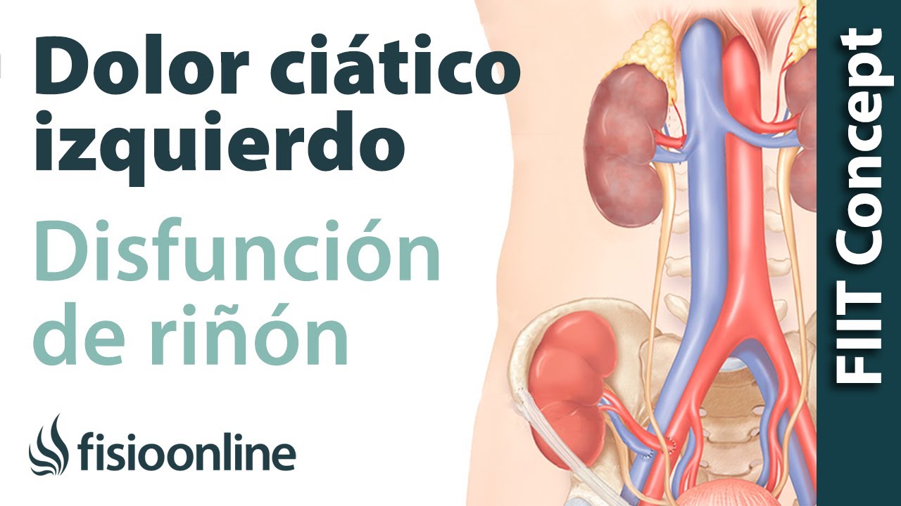 puede doler la pierna por el riñon