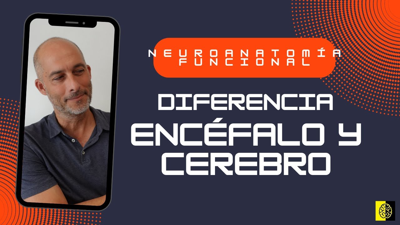 qué diferencia hay entre el encéfalo y el cerebro
