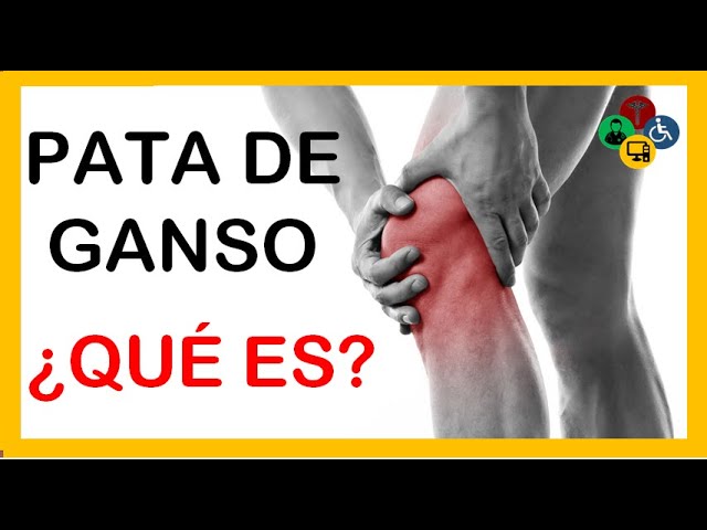 que es la pata de ganso