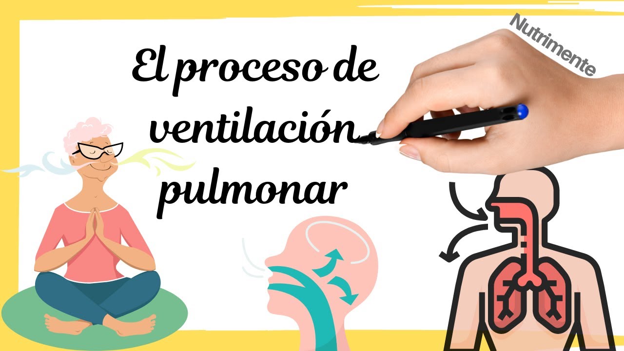 que es la ventilacion pulmonar y sus fases