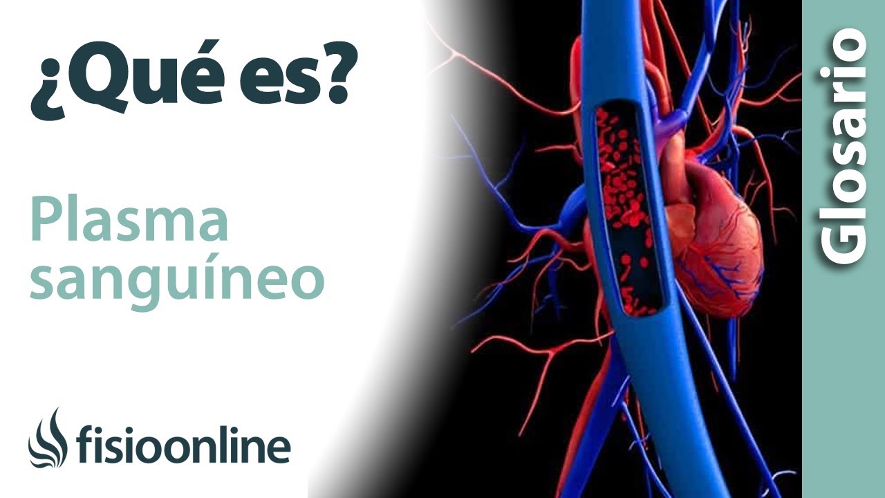 que funcion tiene el plasma sanguineo