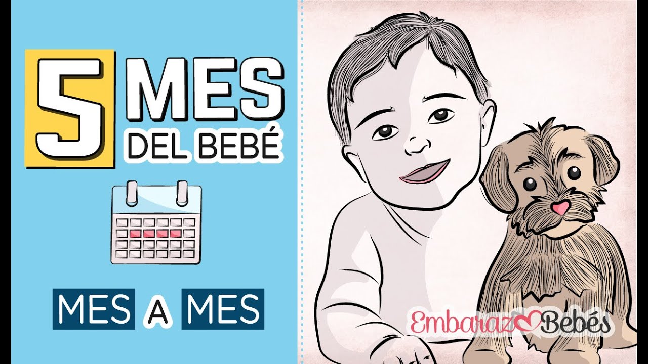 que hace un bebe a los 5 meses