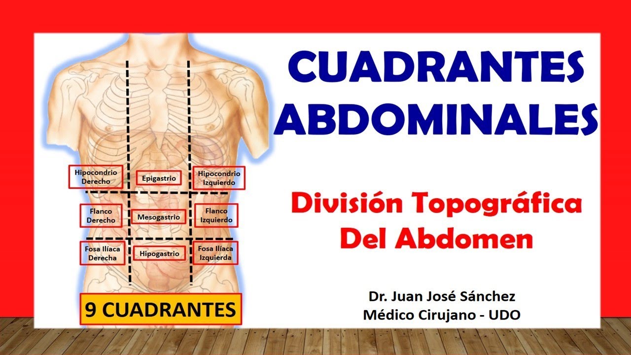 regiones del abdomen y su contenido