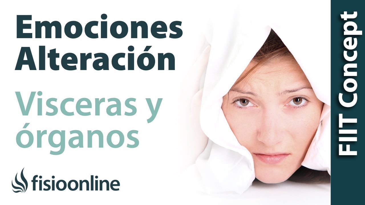 relacion de los organos con las emociones