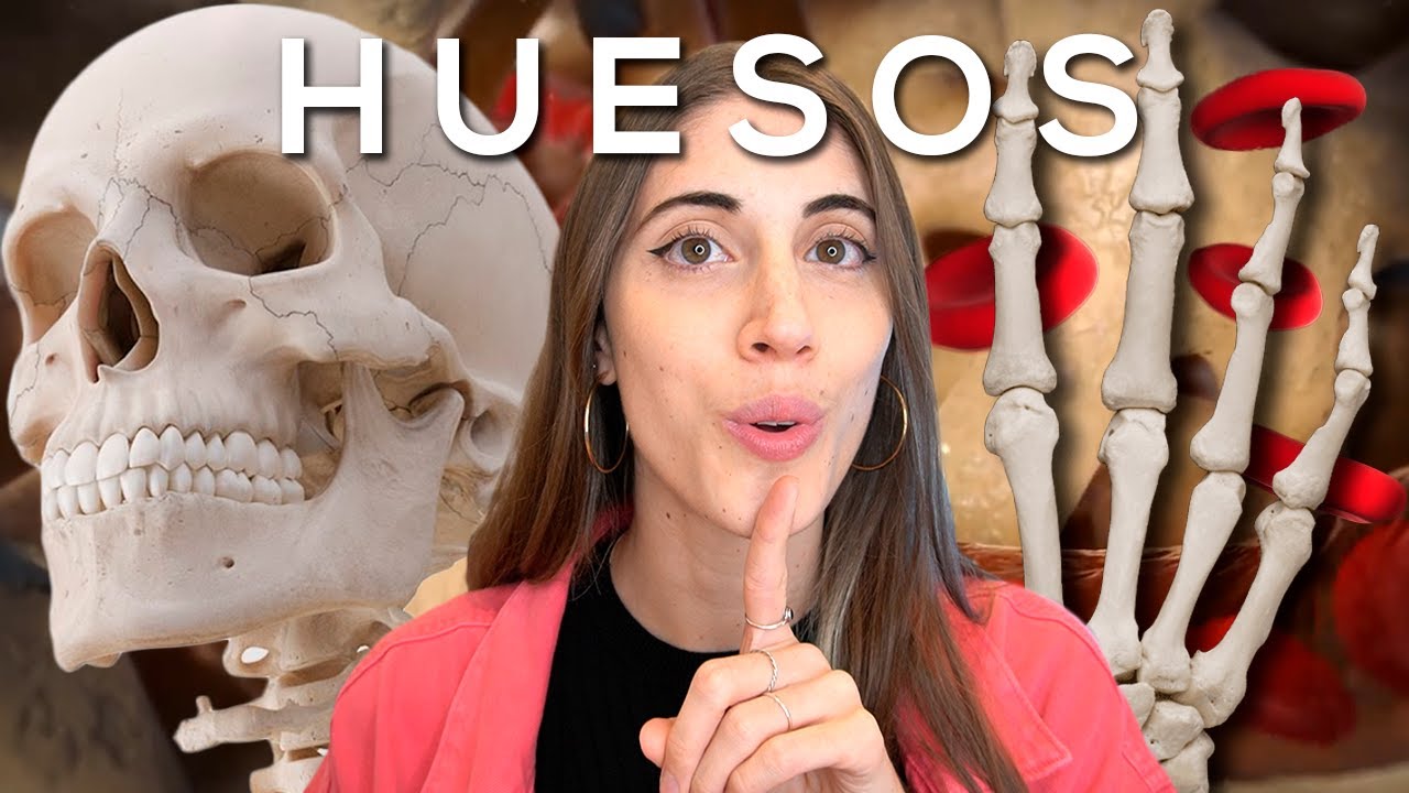 ciencia que estudia los huesos humanos