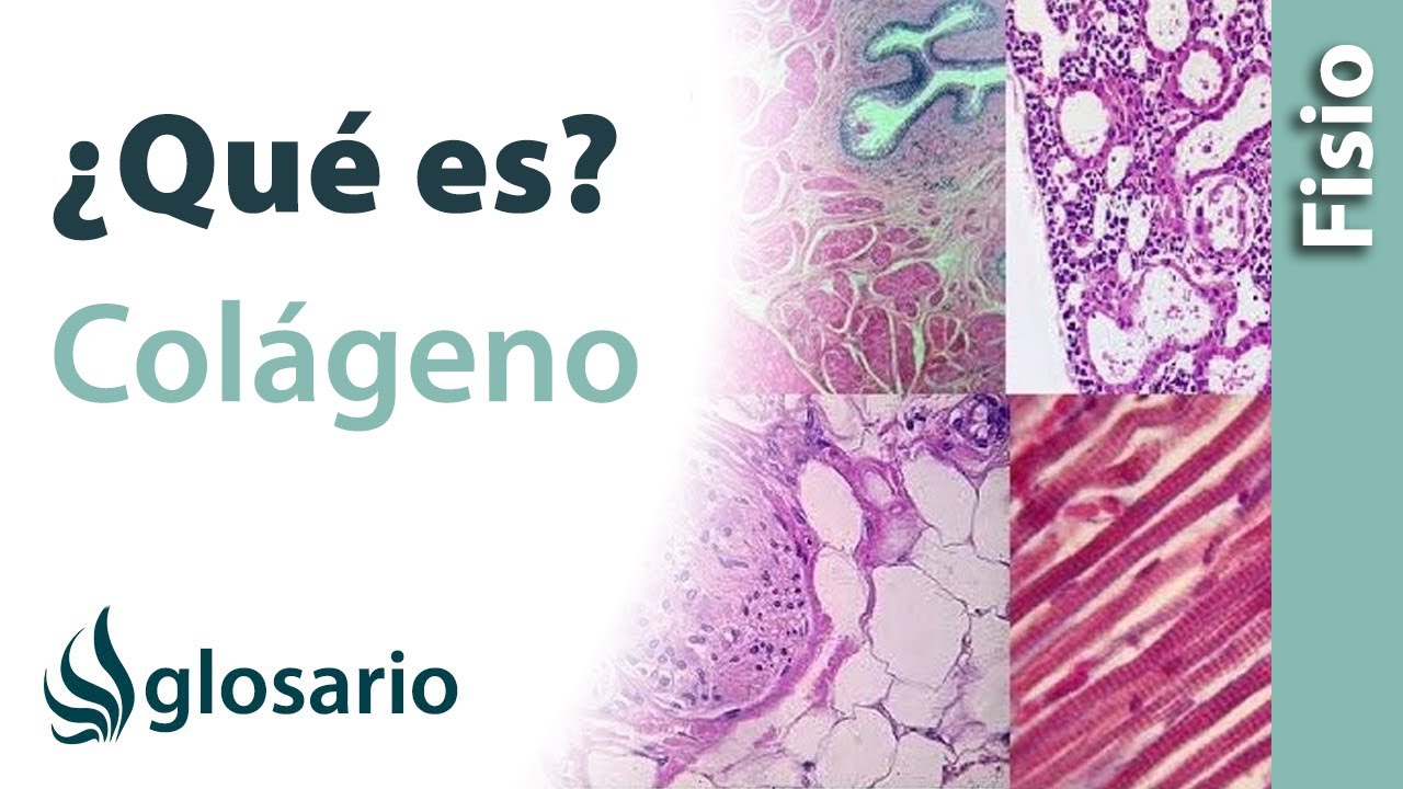 como se fabrica el colageno hidrolizado