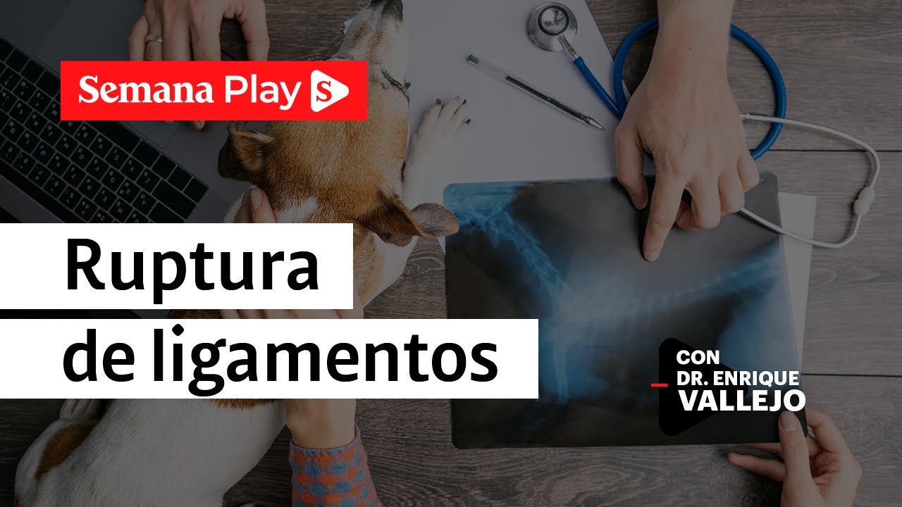 como tratar un esguince en un perro