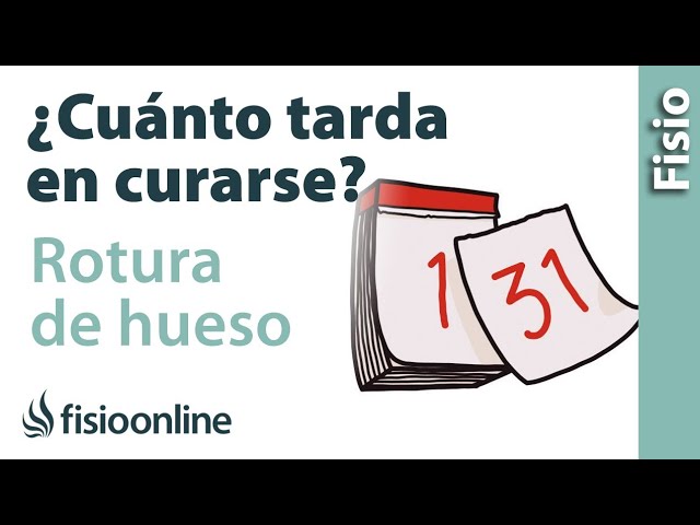 cuanto tarda en sanar un brazo roto