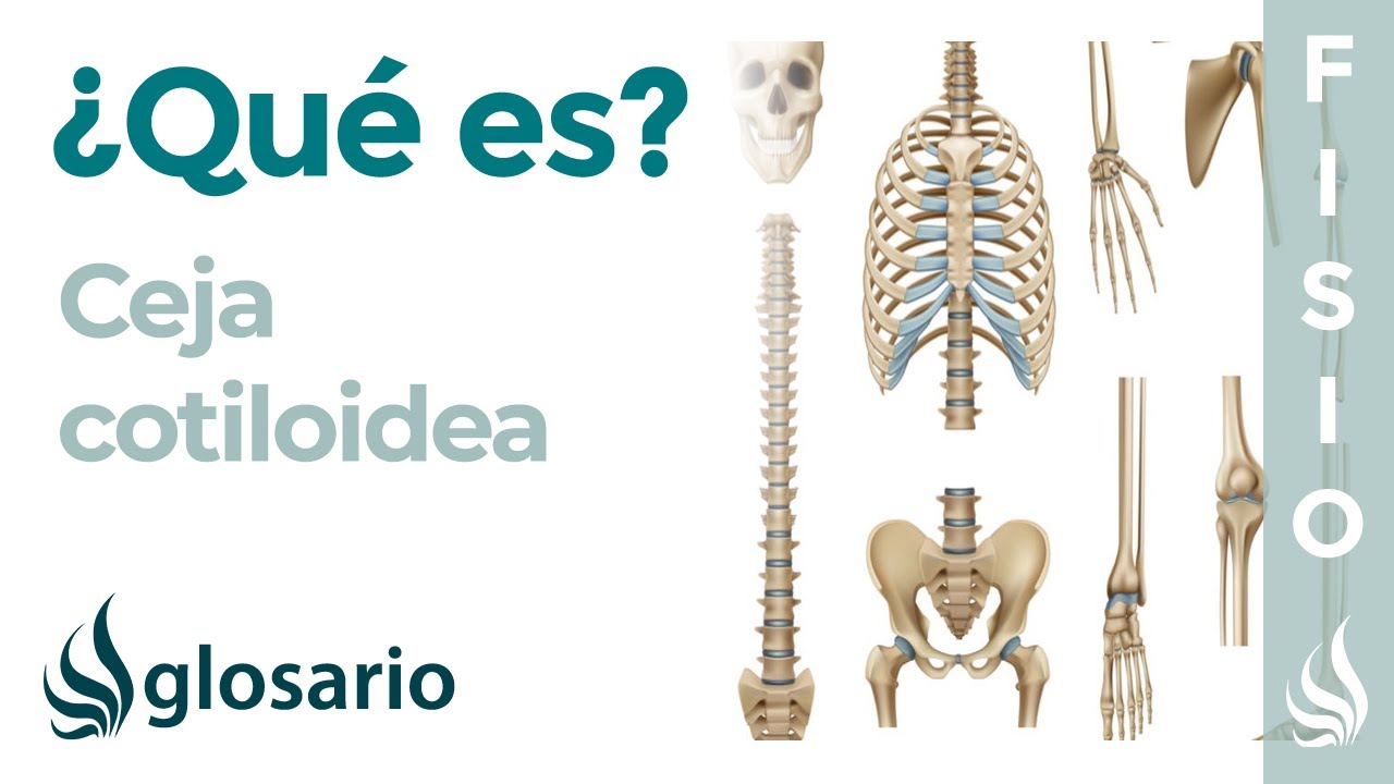 dolor en la ceja al presionar
