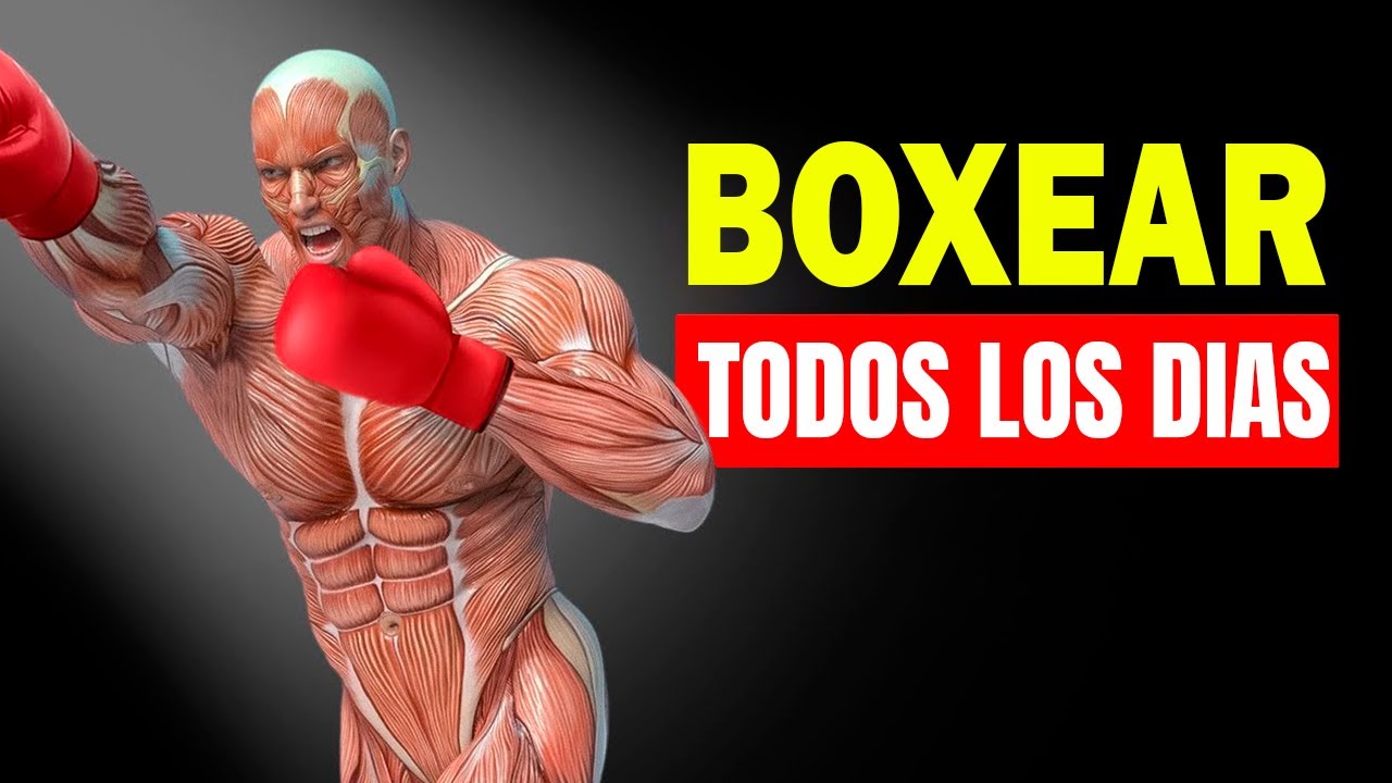 el boxeo es bueno para la espalda