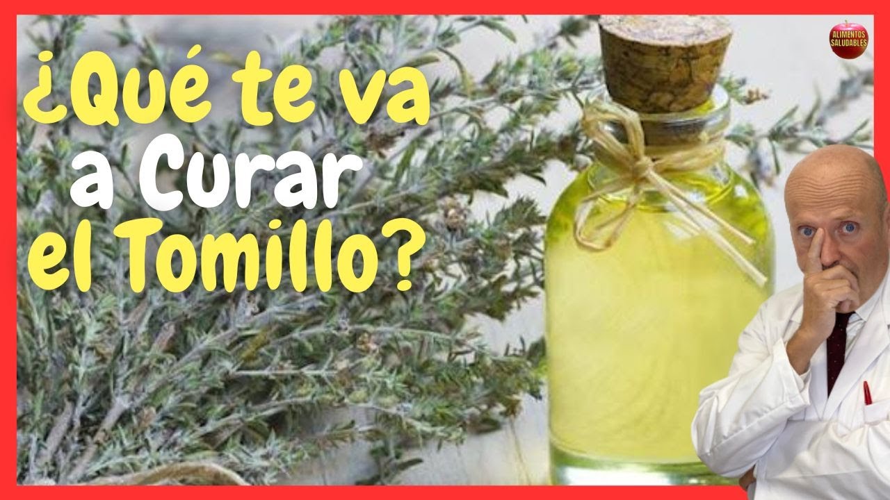 el tomillo es bueno para la infeccion de orina