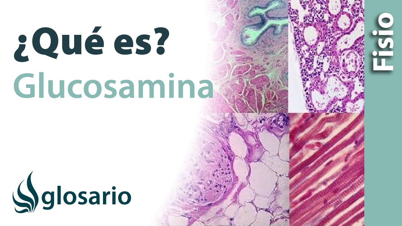 glucosamina de 1500 mg para que sirve