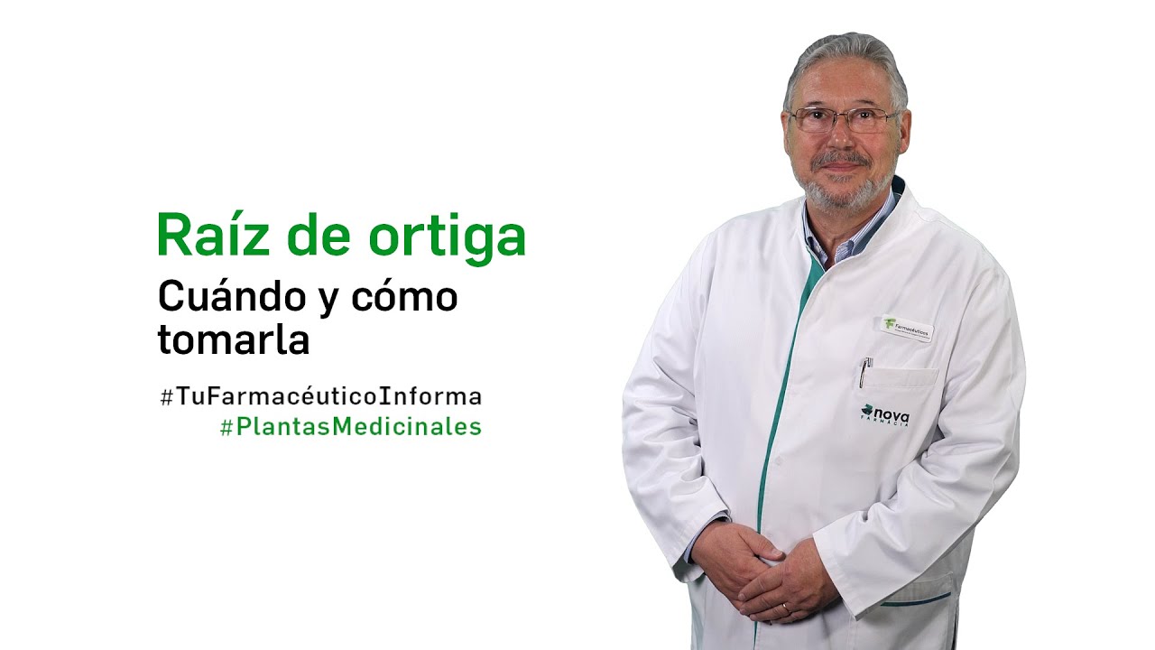 infusión de ortiga para la próstata