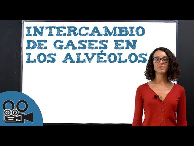intercambio de gases en los pulmones