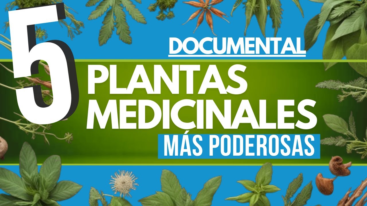 la planta medicinal mas poderosa del mundo