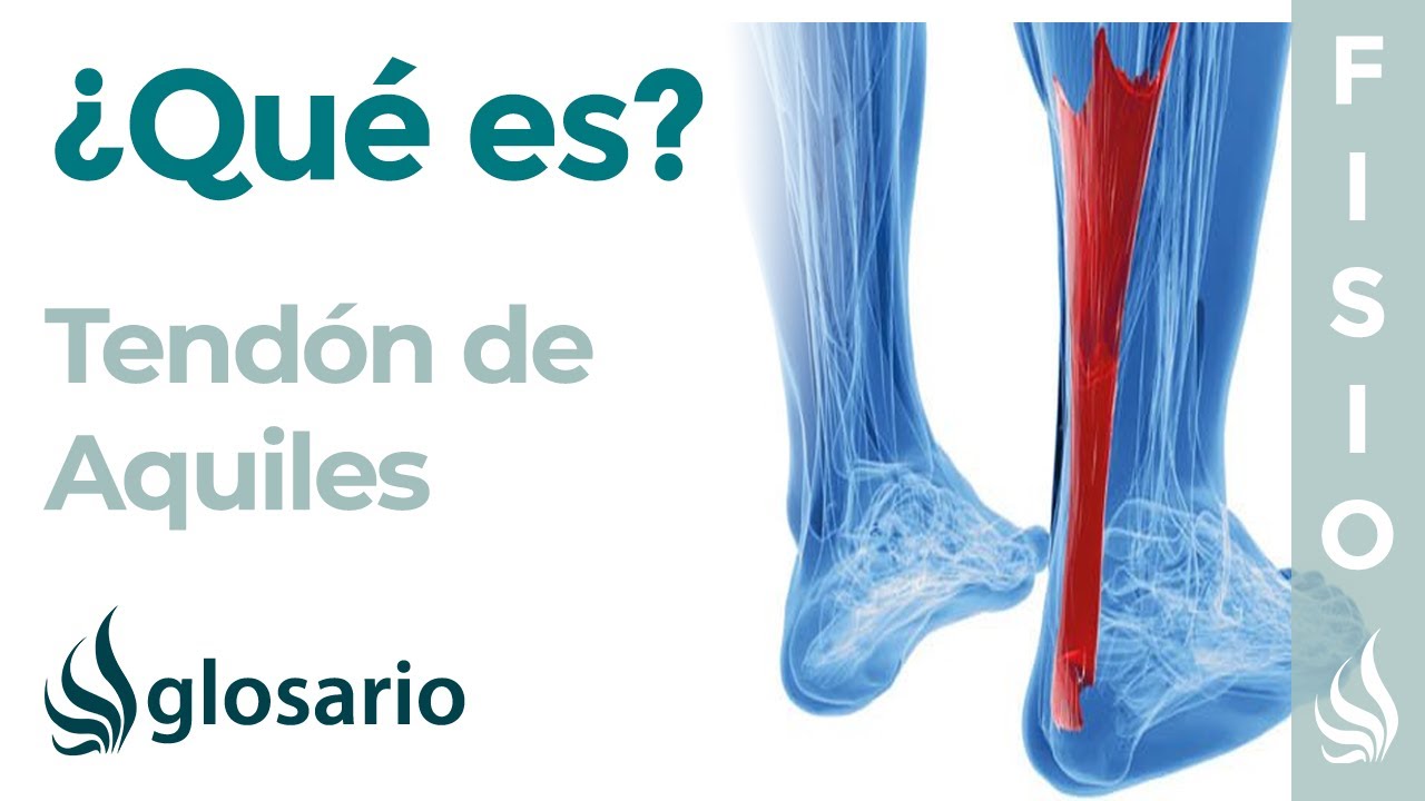 musculos que forman el tendon de aquiles
