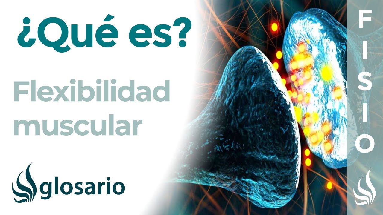 porque es importante la flexibilidad en el deporte