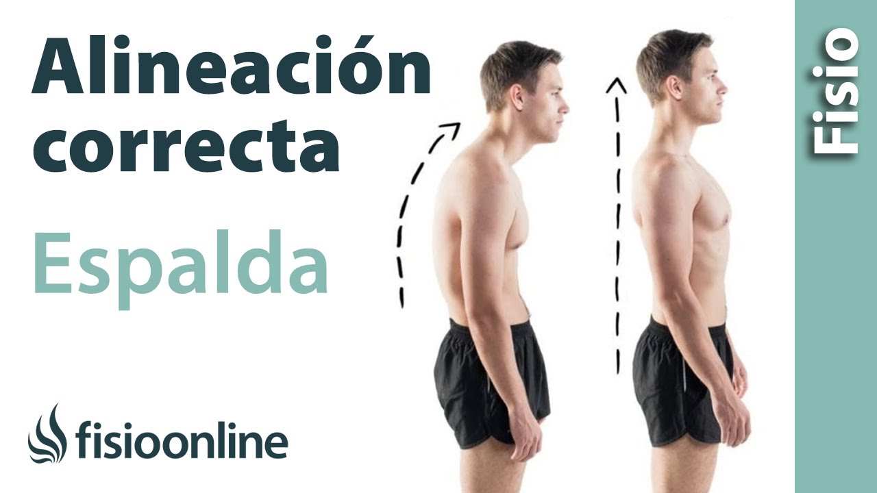posicion correcta de la columna vertebral
