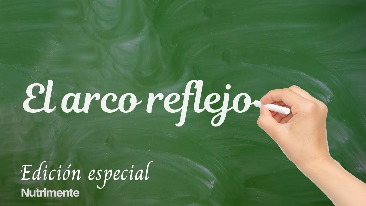 que es el arco reflejo en biologia