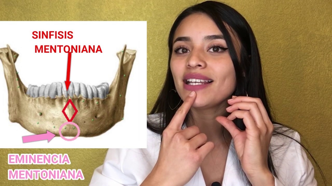 que es el menton del cuerpo humano