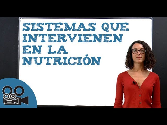 que organos intervienen en la funcion de nutricion